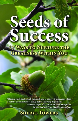 SEEDS OF SUCCESS  17 Ways to Nurture the Greatness Within You